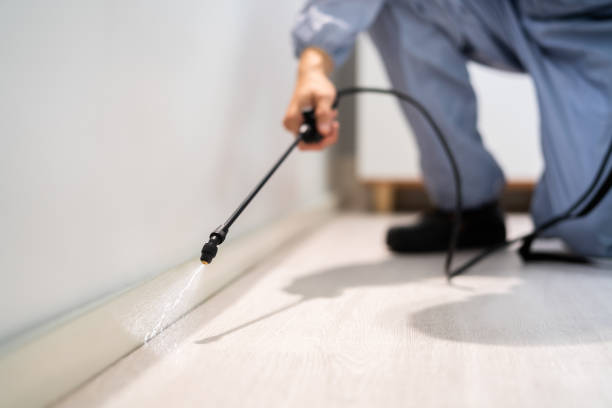 Licensed Pest Control service in Dunnavant, AL - Show Me Pest Control
