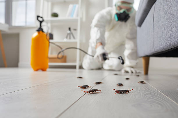 Post-Treatment Bed Bug Interceptor Monitoring in Dunnavant