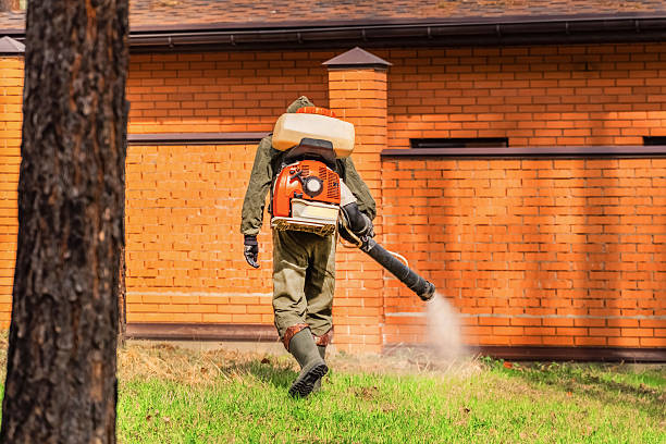 Bed Bug Clearance Verification and Documentation in Dunnavant